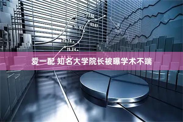 爱一配 知名大学院长被曝学术不端