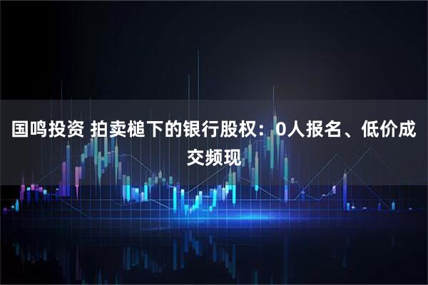 国鸣投资 拍卖槌下的银行股权：0人报名、低价成交频现