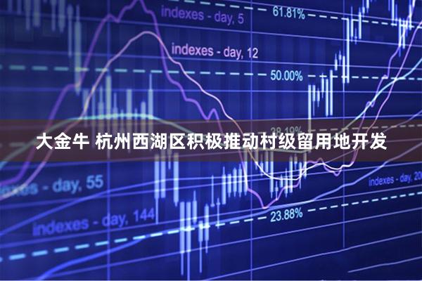 大金牛 杭州西湖区积极推动村级留用地开发
