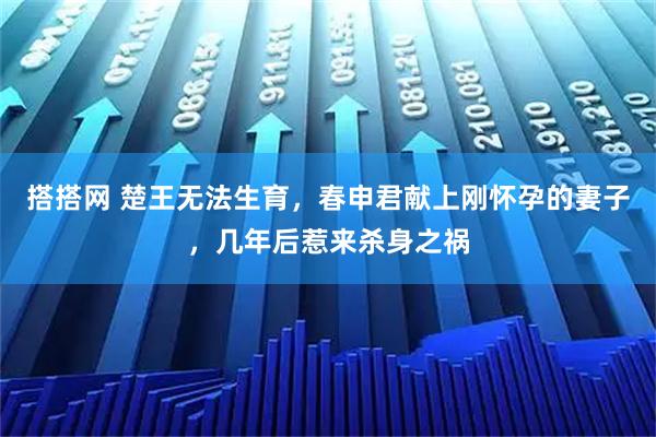 搭搭网 楚王无法生育，春申君献上刚怀孕的妻子，几年后惹来杀身之祸
